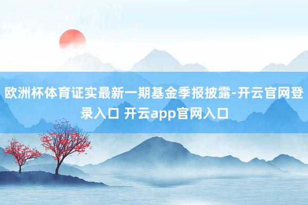 欧洲杯体育证实最新一期基金季报披露-开云官网登录入口 开云app官网入口