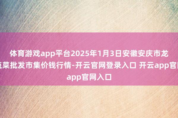 体育游戏app平台2025年1月3日安徽安庆市龙狮桥蔬菜批发市集价钱行情-开云官网登录入口 开云app官网入口