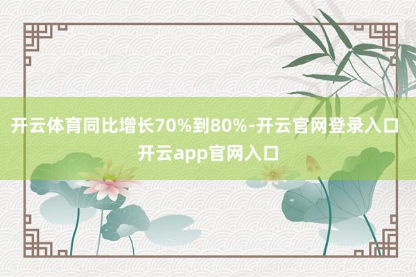 开云体育同比增长70%到80%-开云官网登录入口 开云app官网入口