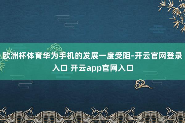 欧洲杯体育华为手机的发展一度受阻-开云官网登录入口 开云app官网入口