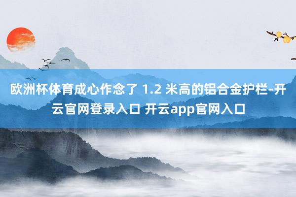 欧洲杯体育成心作念了 1.2 米高的铝合金护栏-开云官网登录入口 开云app官网入口