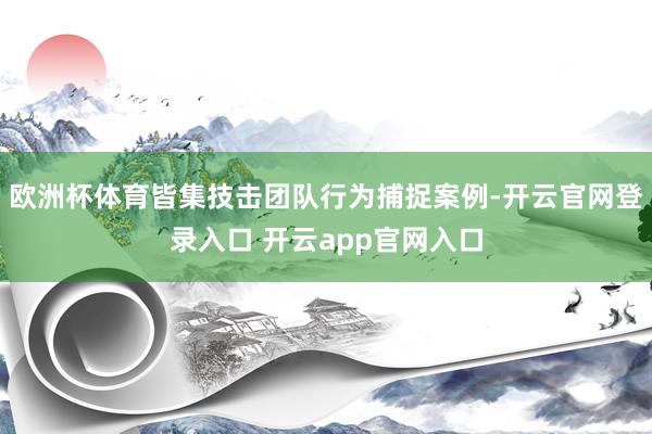 欧洲杯体育皆集技击团队行为捕捉案例-开云官网登录入口 开云a