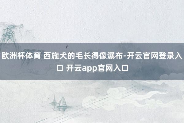 欧洲杯体育 西施犬的毛长得像瀑布-开云官网登录入口 开云ap