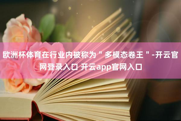 欧洲杯体育在行业内被称为＂多模态卷王＂-开云官网登录入口 开云app官网入口