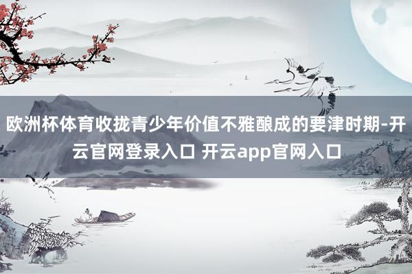 欧洲杯体育收拢青少年价值不雅酿成的要津时期-开云官网登录入口 开云app官网入口