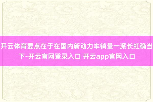 开云体育要点在于在国内新动力车销量一派长虹确当下-开云官网登录入口 开云app官网入口