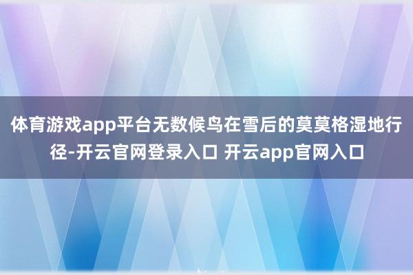 体育游戏app平台无数候鸟在雪后的莫莫格湿地行径-开云官网登