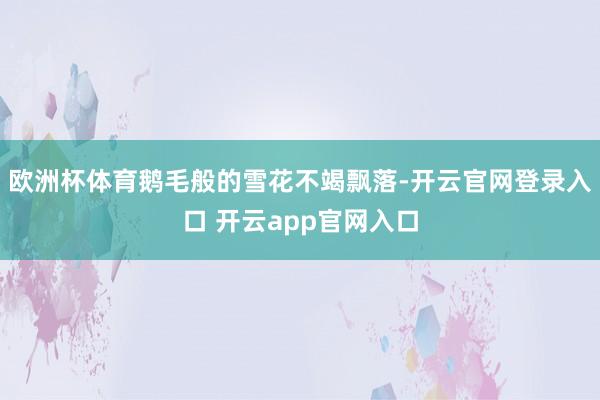 欧洲杯体育鹅毛般的雪花不竭飘落-开云官网登录入口 开云app
