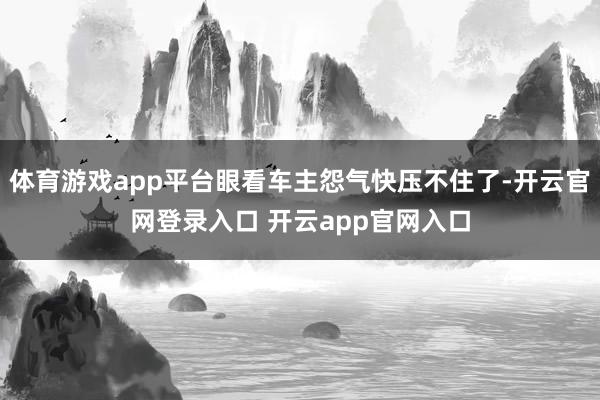 体育游戏app平台眼看车主怨气快压不住了-开云官网登录入口 开云app官网入口