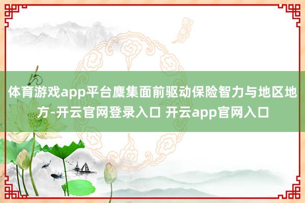 体育游戏app平台麇集面前驱动保险智力与地区地方-开云官网登录入口 开云app官网入口