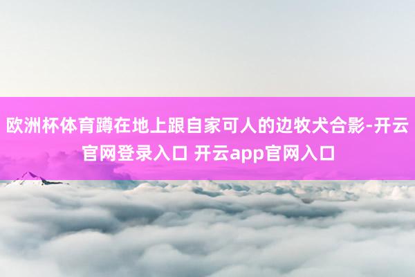 欧洲杯体育蹲在地上跟自家可人的边牧犬合影-开云官网登录入口 开云app官网入口
