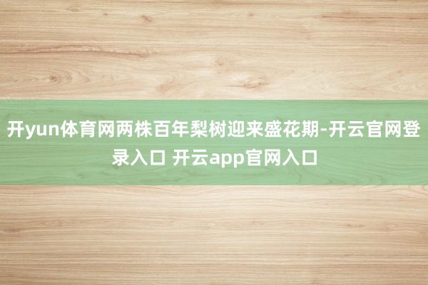 开yun体育网两株百年梨树迎来盛花期-开云官网登录入口 开云app官网入口