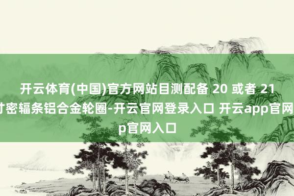 开云体育(中国)官方网站目测配备 20 或者 21 英寸密辐条铝合金轮圈-开云官网登录入口 开云app官网入口